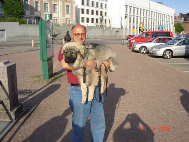 Eurodog show Helsinki 2006-kratka reportaža - foto