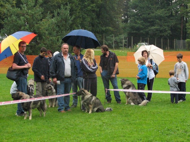 Jesenski vzrejni pregled 2006 - foto povečava