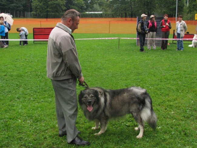 Jesenski vzrejni pregled 2006 - foto povečava