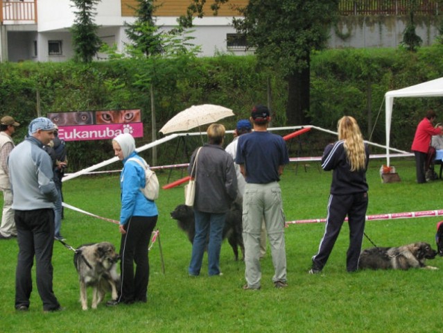 Jesenski vzrejni pregled 2006 - foto