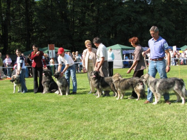 CACIB MARIBOR 2006 - foto