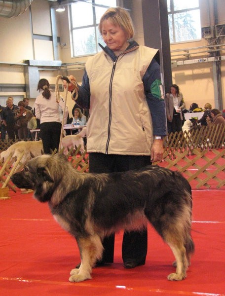 Aura in njena lastnica ga. Mezgec iz Italije