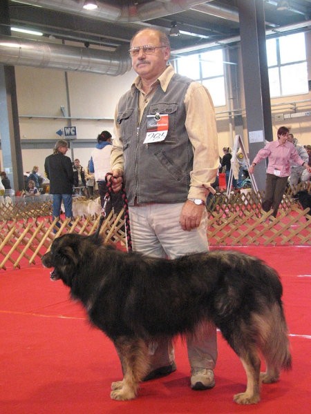 RAZRED PRVAKI-Ch. Vik in Viktor Kren (CAC)