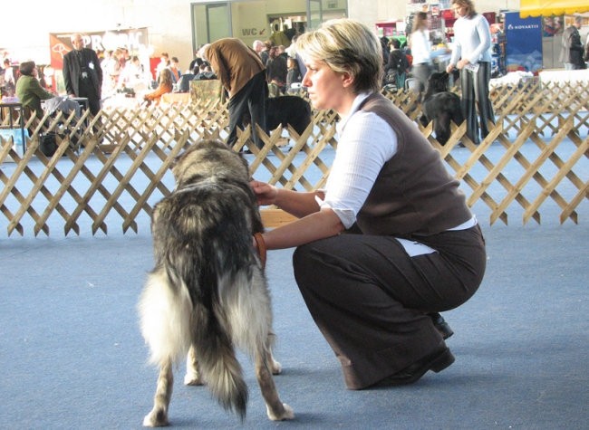 CACIB Tromostovje 2007 - foto povečava