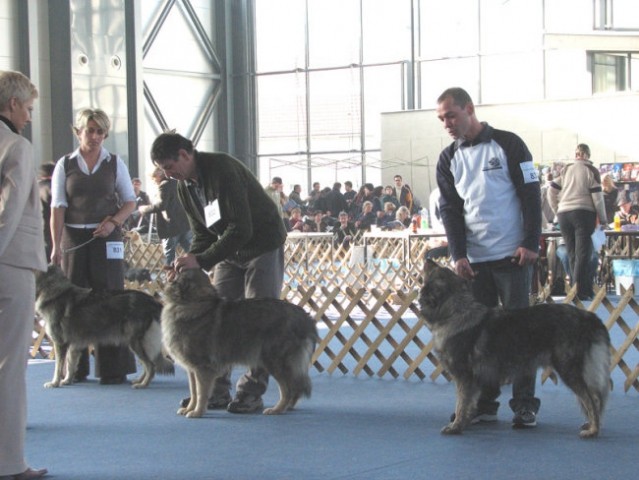 CACIB Tromostovje 2007 - foto