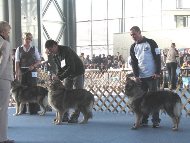 CACIB Tromostovje 2007 - foto