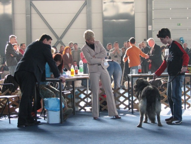 CACIB Tromostovje 2007 - foto
