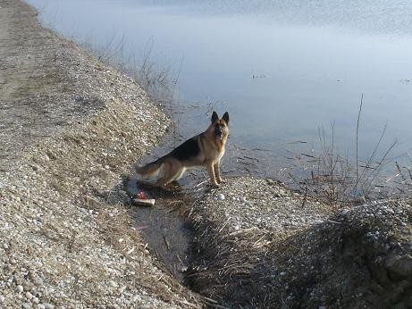 Proljeće - preseljenje - foto