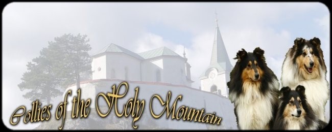 Collies of the Holy Mountain - foto povečava