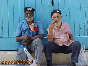 Forumslike - foto