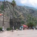 Kotor