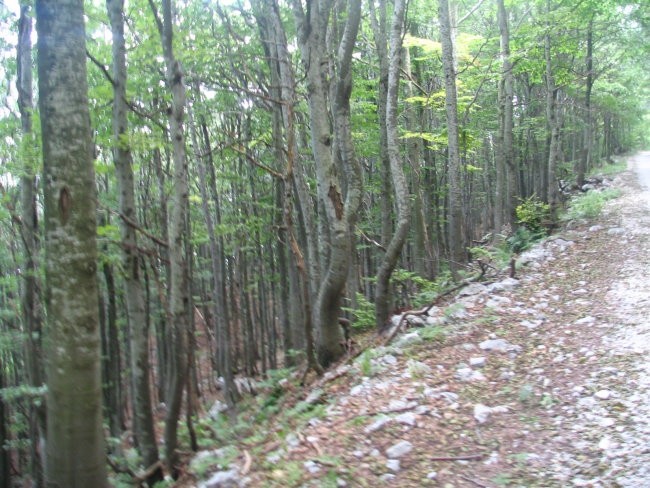 Enduro na Stol nad Nadižo - foto povečava