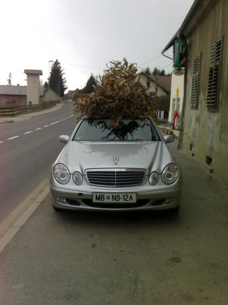 Razno - foto povečava