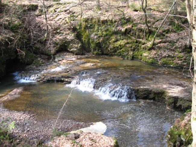 Narava - foto povečava