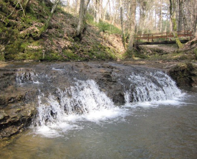 Narava - foto povečava