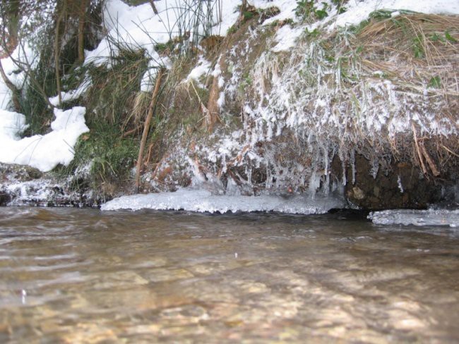 Narava - foto povečava