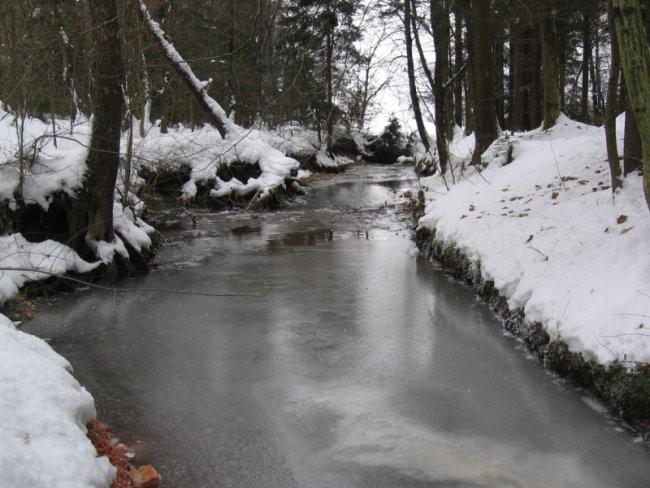 Narava - foto povečava