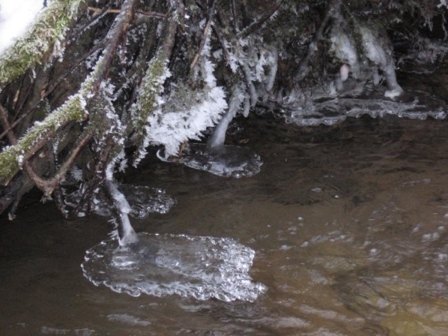 Narava - foto povečava