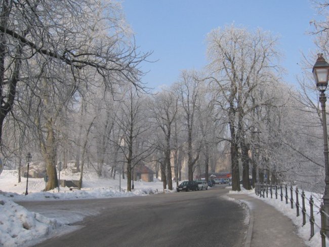 Narava - foto povečava