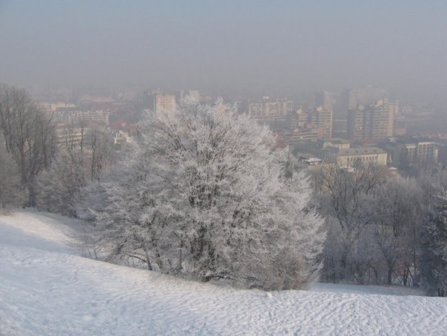 Narava - foto povečava