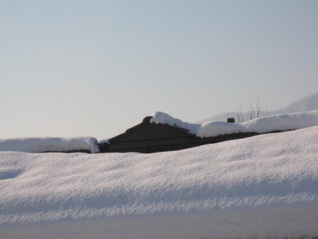 Narava - foto povečava