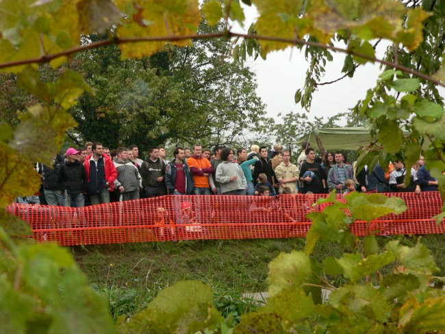 Velike žablje 2006 - foto povečava