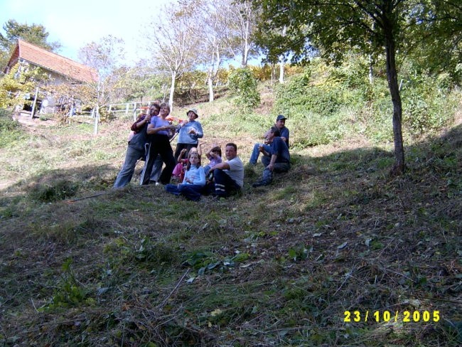 Milena vikend - foto povečava