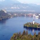 bled