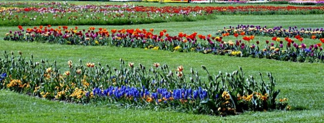 Arboretum 2005  - foto