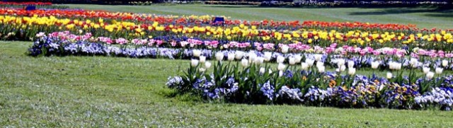 Arboretum 2005  - foto