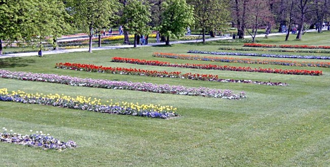 Arboretum 2005  - foto povečava