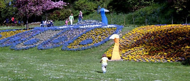 Arboretum 2005  - foto