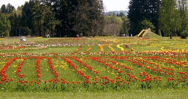 Arboretum 2005  - foto povečava
