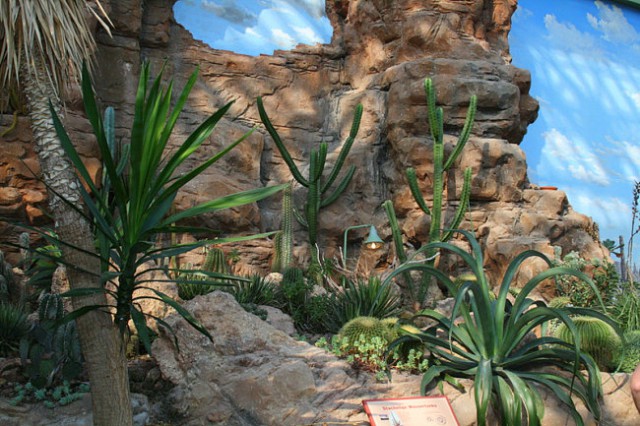 DUNAJ - PARK SCHÖNBRUNN - foto