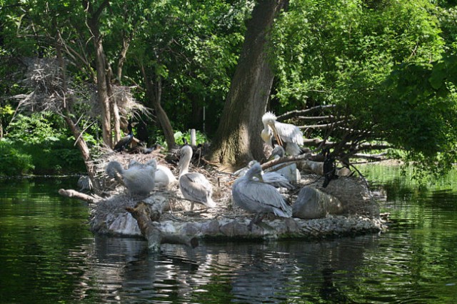 DUNAJ - PARK SCHÖNBRUNN - foto