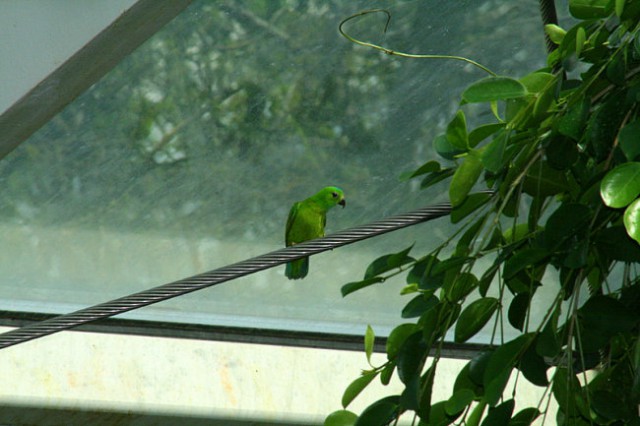 DUNAJ - PARK SCHÖNBRUNN - foto