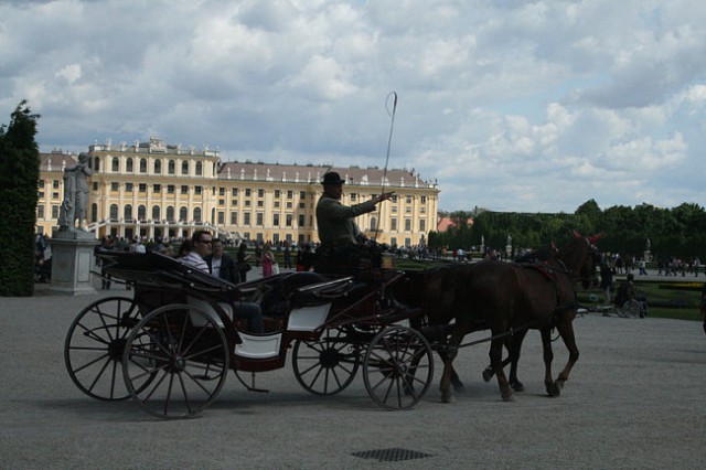 DUNAJ - PARK SCHÖNBRUNN - foto