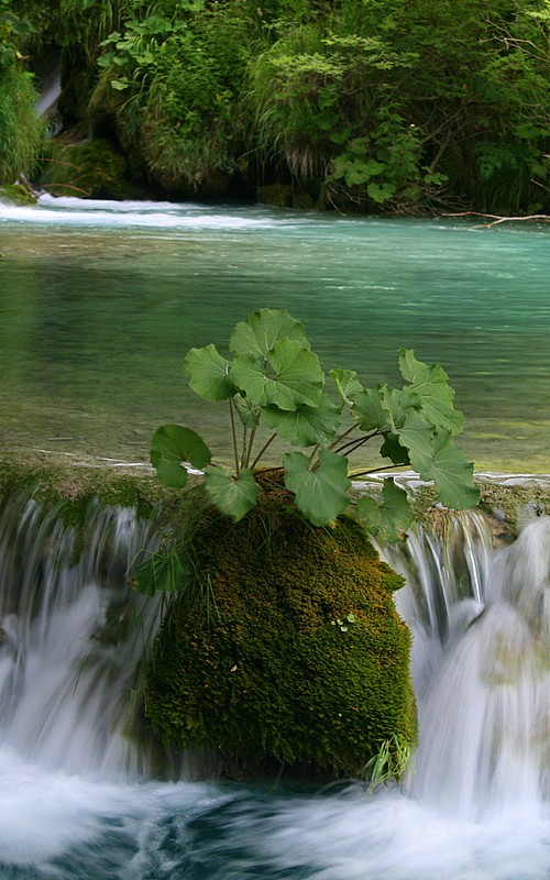 PLITVIČKA JEZERA - foto povečava