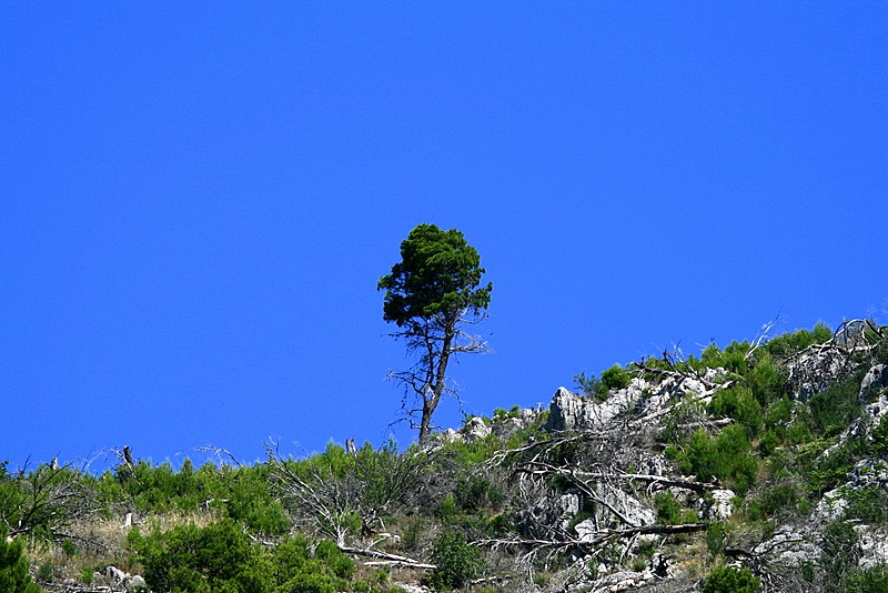 SLAPOVI KRKE - foto povečava