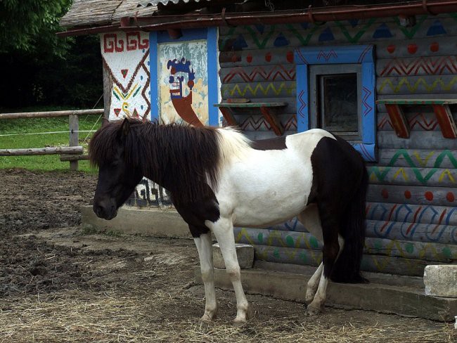 ŠPORTNI VIKEND MARIBORA - POHORJE - foto povečava