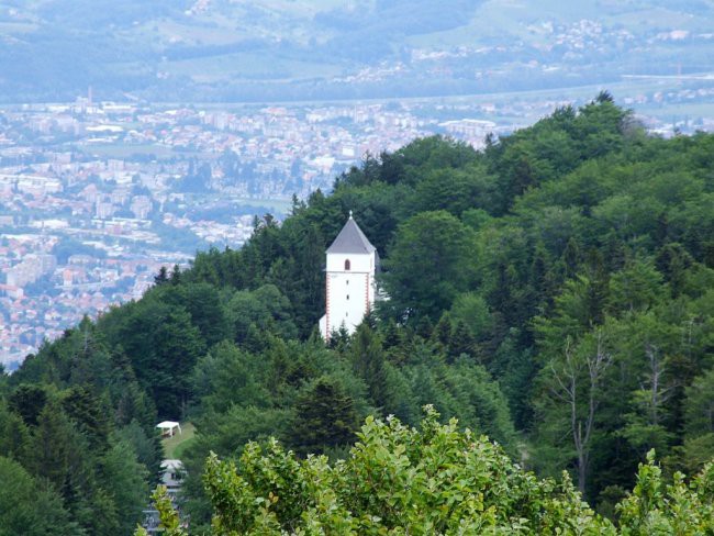 Bolfenk na Pohorju posnet iz razglednega stolpa