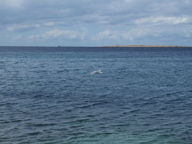 OTOK KRK - STARA BAŠKA - foto