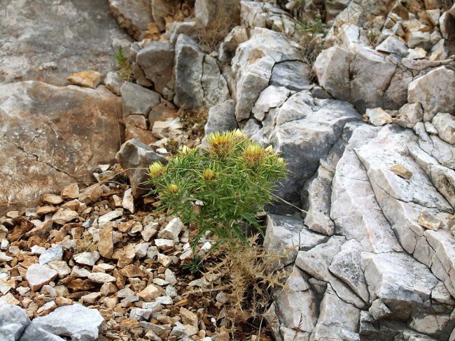 OTOK KRK - STARA BAŠKA - foto povečava