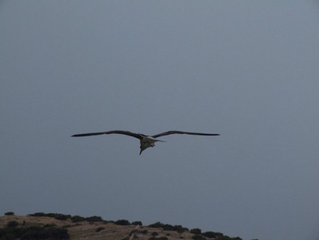 OTOK KRK - STARA BAŠKA - foto