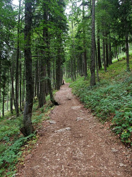 URŠLJA GORA - foto