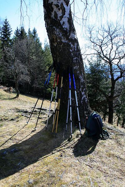 ŽAVCARJEV VRH - foto