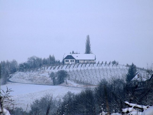 GORCA PRI MALEČNIKU - foto povečava