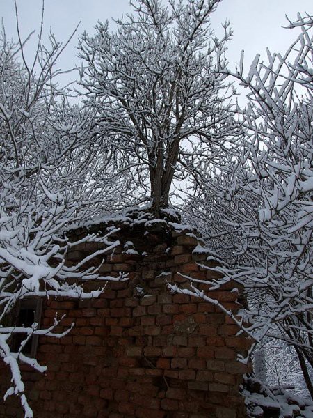 GORCA PRI MALEČNIKU - foto povečava