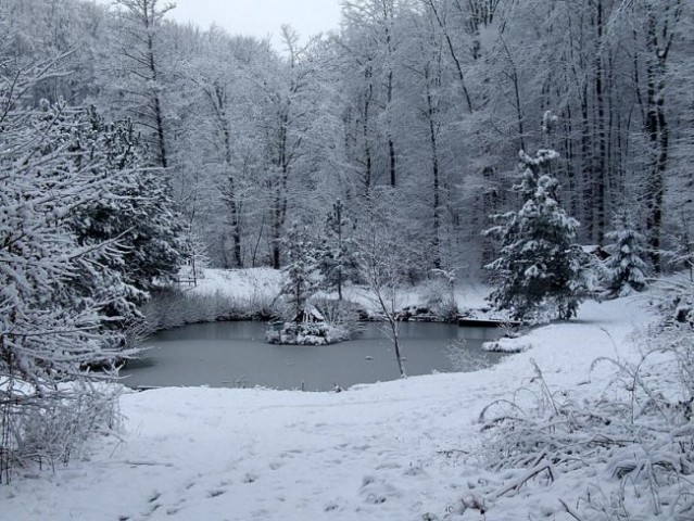 GORCA PRI MALEČNIKU - foto