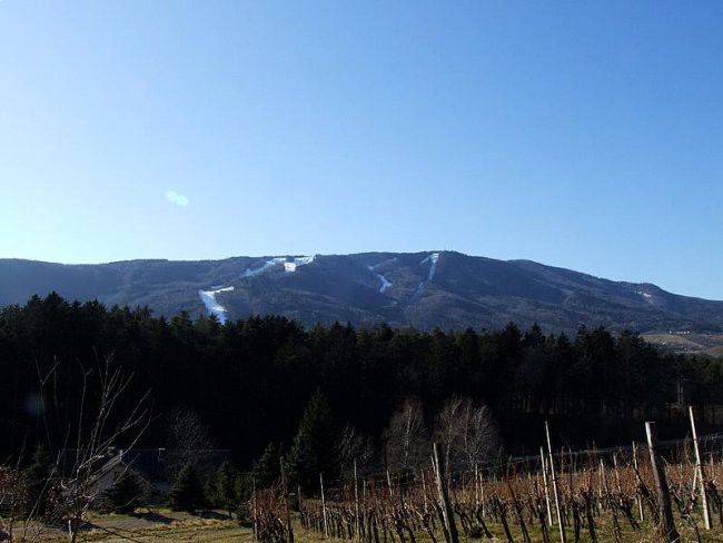 Pogled iz Pekrske Gorce na Pohorje.